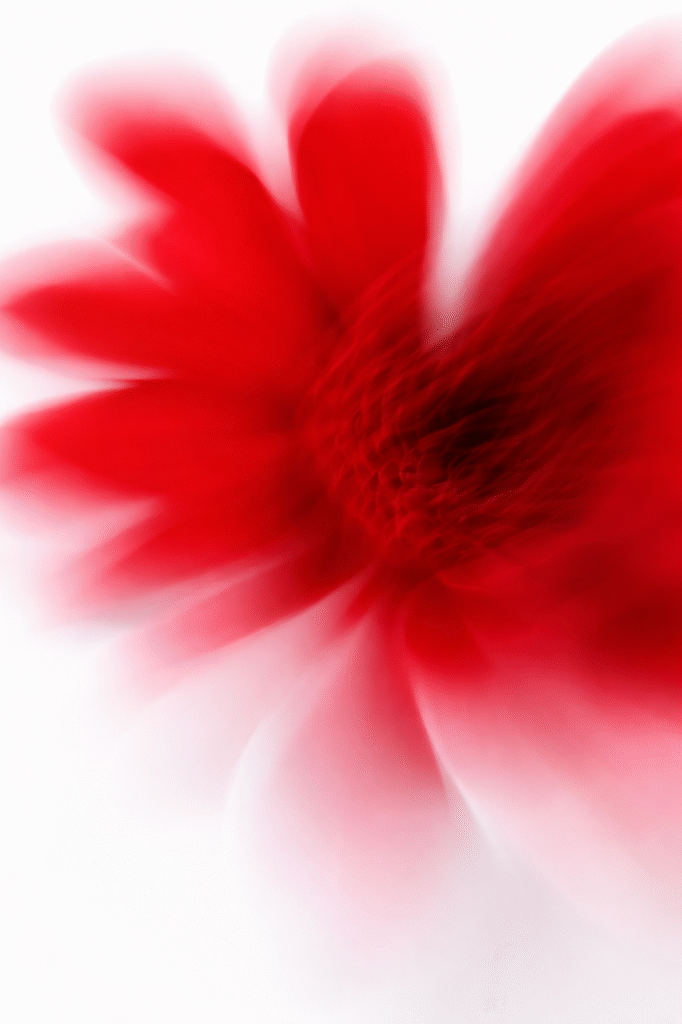 Sant Jordi de benestar